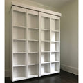 Test Renderings Boaz BiFold Bookcase Murphy Bed